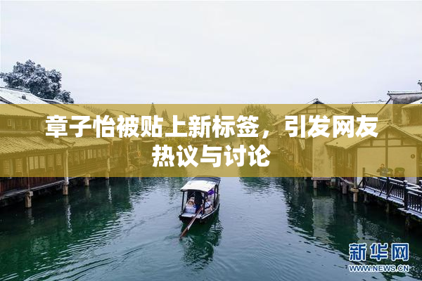 章子怡被贴上新标签，引发网友热议与讨论