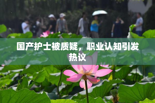 国产护士被质疑，职业认知引发热议