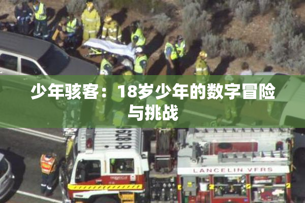 少年骇客：18岁少年的数字冒险与挑战