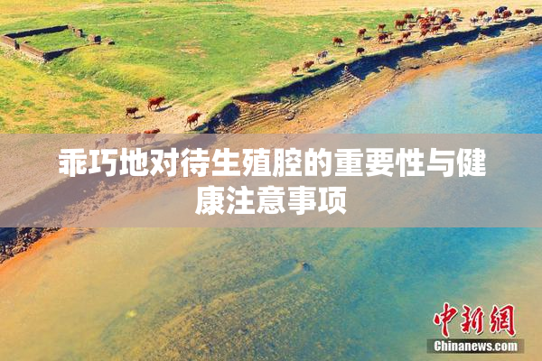 乖巧地对待生殖腔的重要性与健康注意事项