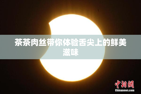 茶茶肉丝带你体验舌尖上的鲜美滋味