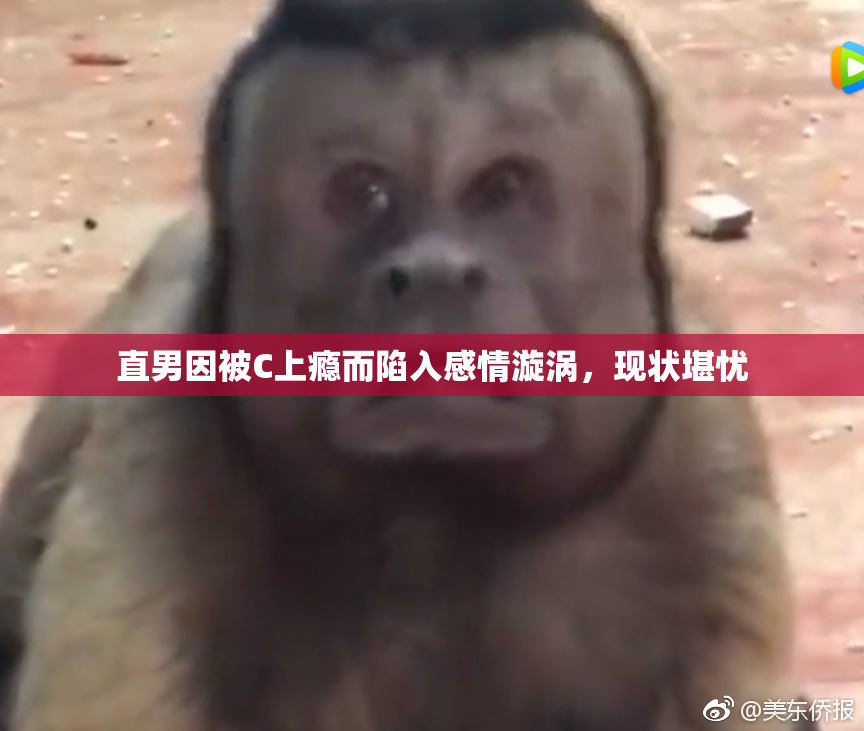直男因被C上瘾而陷入感情漩涡，现状堪忧