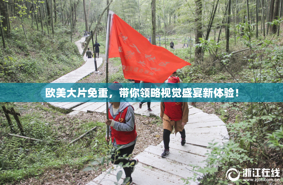 欧美大片免重，带你领略视觉盛宴新体验！