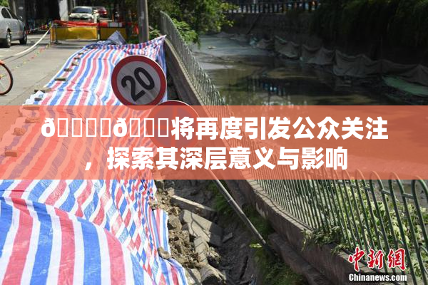 🔞‌🍌将再度引发公众关注，探索其深层意义与影响
