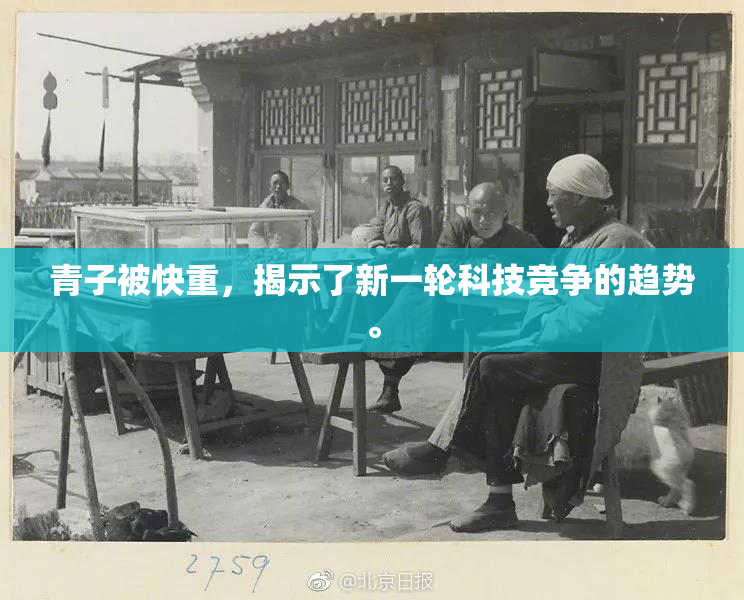 青子被快重，揭示了新一轮科技竞争的趋势。