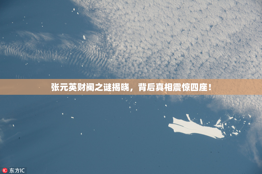 张元英财阀之谜揭晓，背后真相震惊四座！
