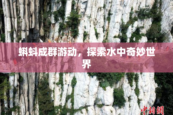 蝌蚪成群游动，探索水中奇妙世界