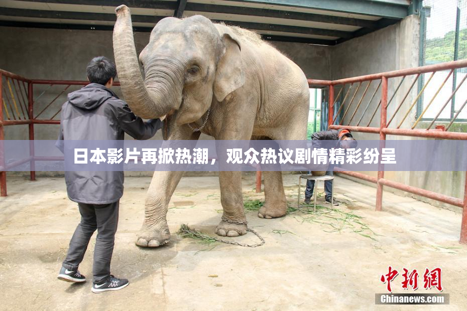日本影片再掀热潮，观众热议剧情精彩纷呈