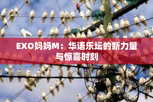 EXO妈妈M：华语乐坛的新力量与惊喜时刻