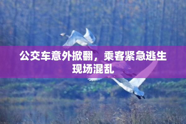 公交车意外掀翻，乘客紧急逃生现场混乱