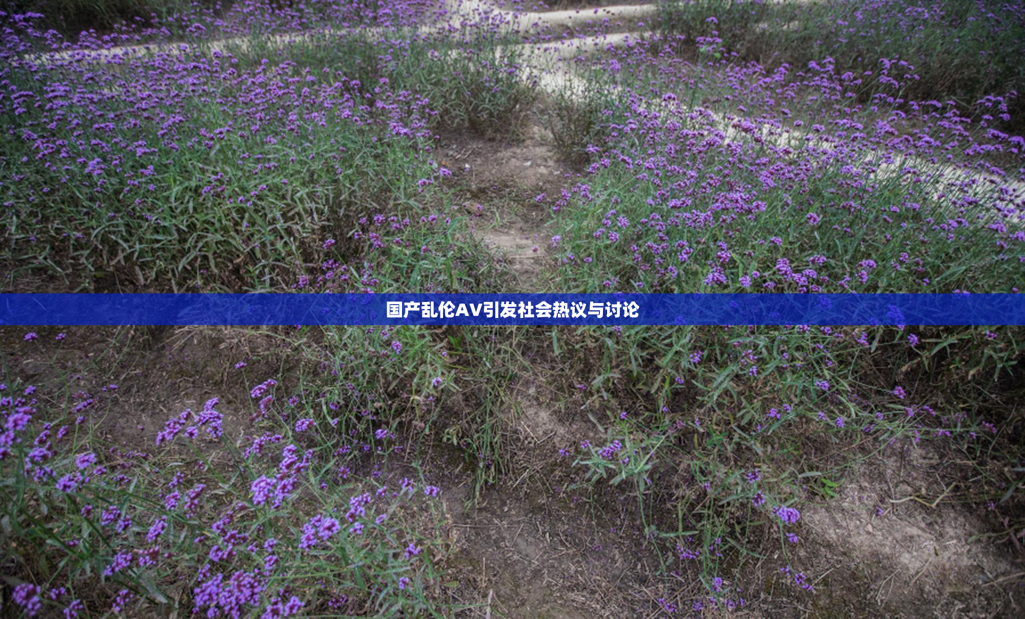 国产乱伦AV引发社会热议与讨论