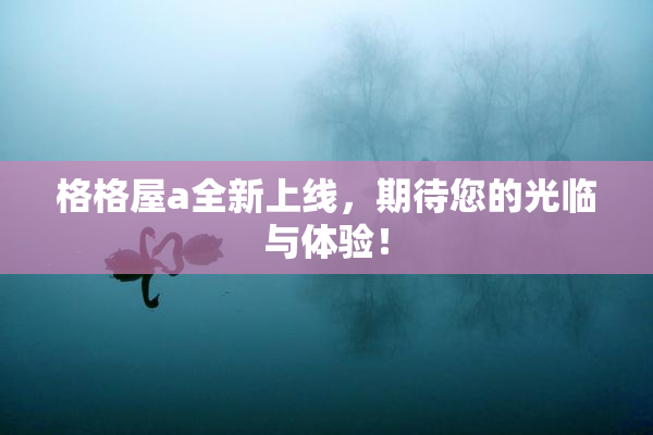 格格屋a全新上线，期待您的光临与体验！