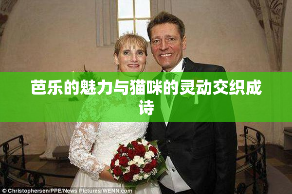 芭乐的魅力与猫咪的灵动交织成诗