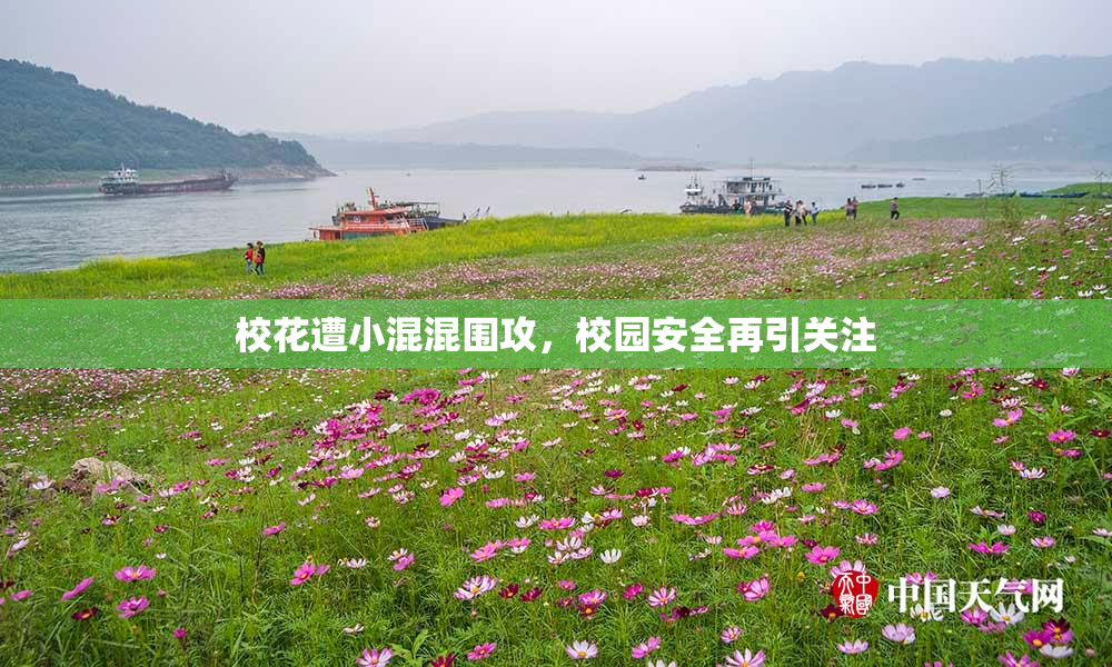 校花遭小混混围攻，校园安全再引关注