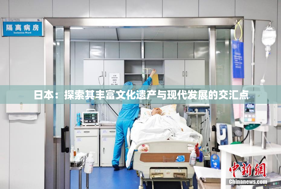 日本：探索其丰富文化遗产与现代发展的交汇点
