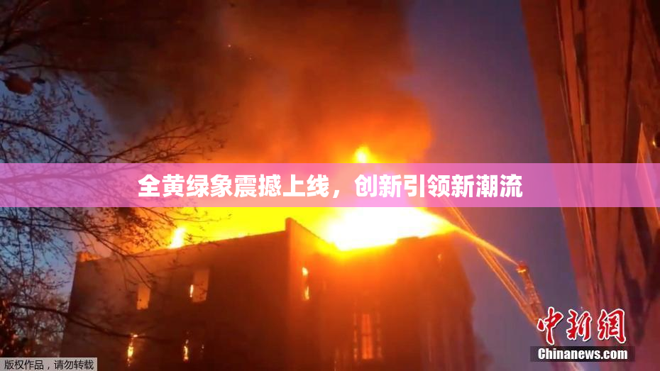 全黄绿象震撼上线，创新引领新潮流