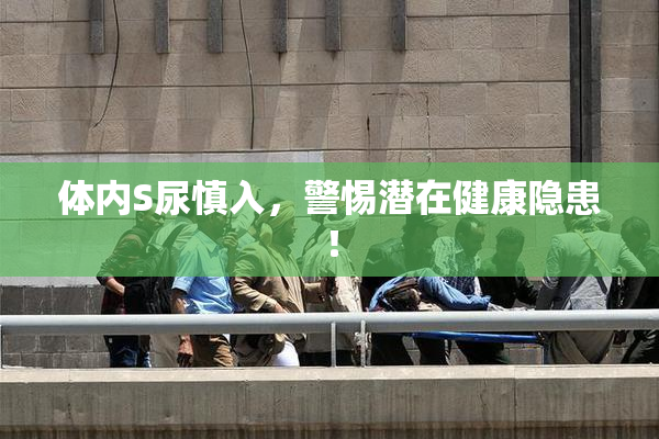 体内S尿慎入，警惕潜在健康隐患！