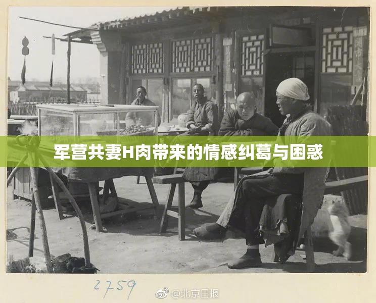 军营共妻H肉带来的情感纠葛与困惑