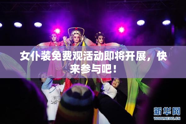 女仆装免费观活动即将开展，快来参与吧！