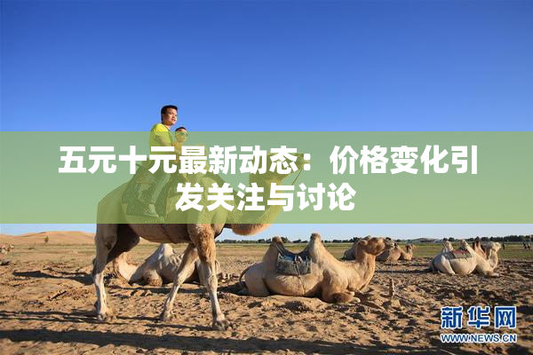 五元十元最新动态：价格变化引发关注与讨论