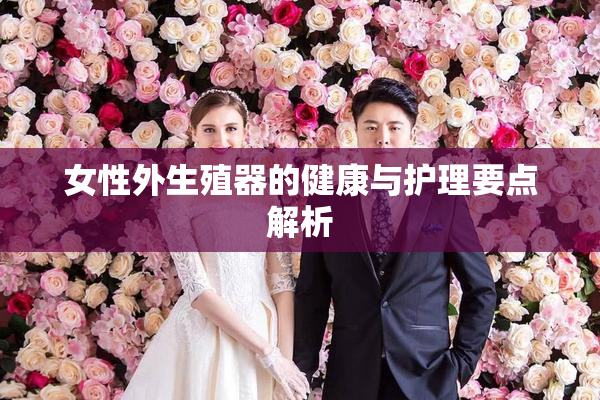 女性外生殖器的健康与护理要点解析