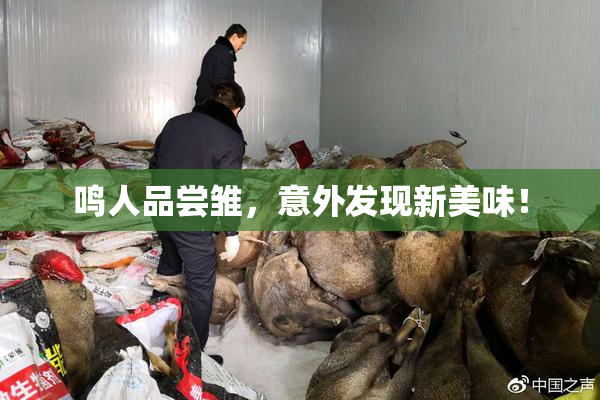 鸣人品尝雏，意外发现新美味！