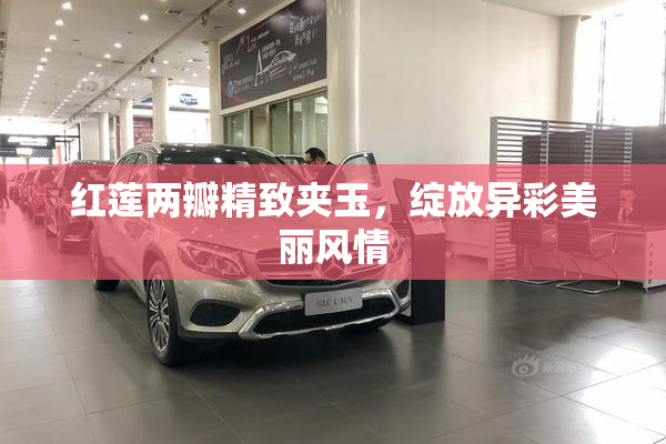 红莲两瓣精致夹玉，绽放异彩美丽风情