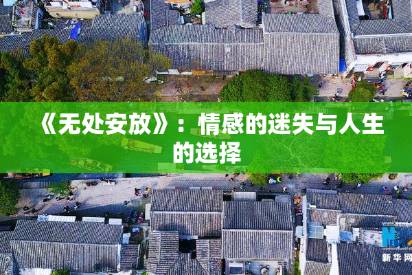 《无处安放》：情感的迷失与人生的选择