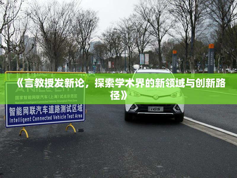 《言教授发新论，探索学术界的新领域与创新路径》