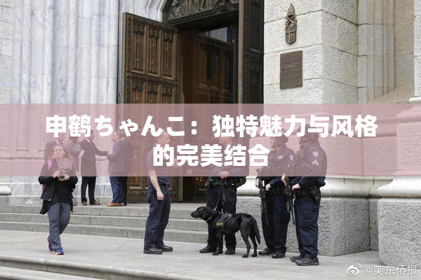 申鹤ちゃんこ：独特魅力与风格的完美结合