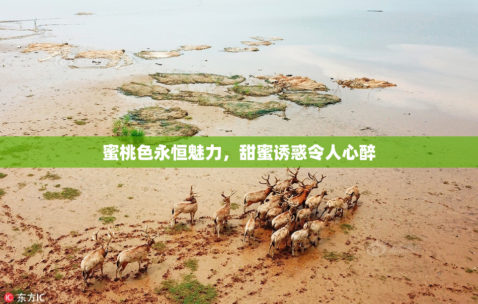 蜜桃色永恒魅力，甜蜜诱惑令人心醉