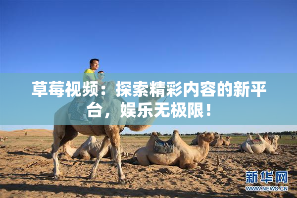 草莓视频：探索精彩内容的新平台，娱乐无极限！