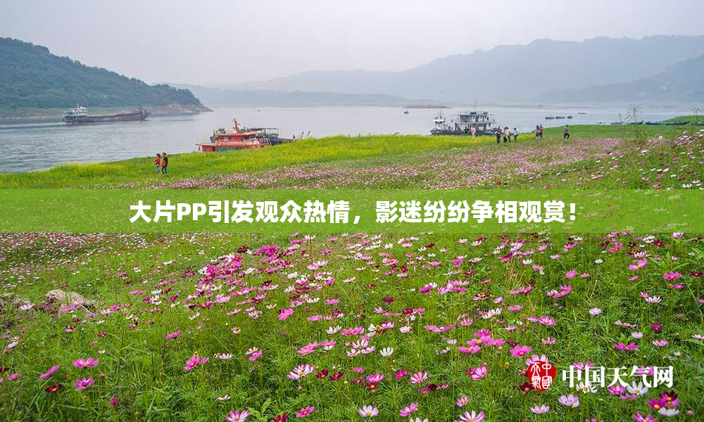 大片PP引发观众热情，影迷纷纷争相观赏！