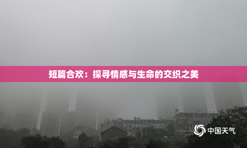 短篇合欢：探寻情感与生命的交织之美