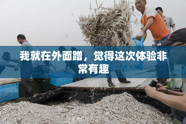 我就在外面蹭，觉得这次体验非常有趣