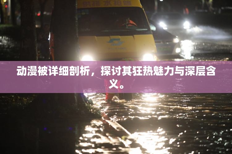 动漫被详细剖析，探讨其狂热魅力与深层含义。