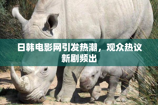 日韩电影网引发热潮，观众热议新剧频出
