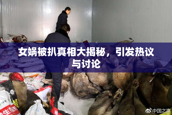 女娲被扒真相大揭秘，引发热议与讨论