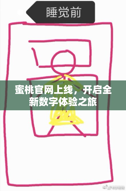 蜜桃官网上线，开启全新数字体验之旅