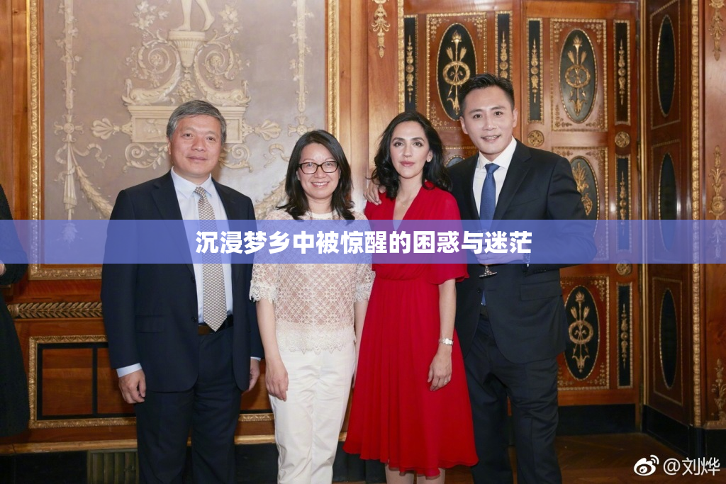 沉浸梦乡中被惊醒的困惑与迷茫