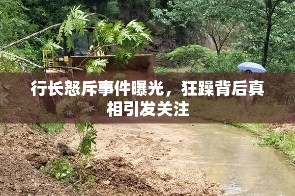 行长怒斥事件曝光，狂躁背后真相引发关注