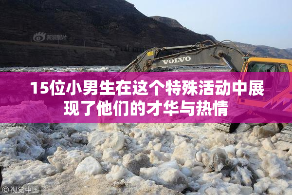 15位小男生在这个特殊活动中展现了他们的才华与热情