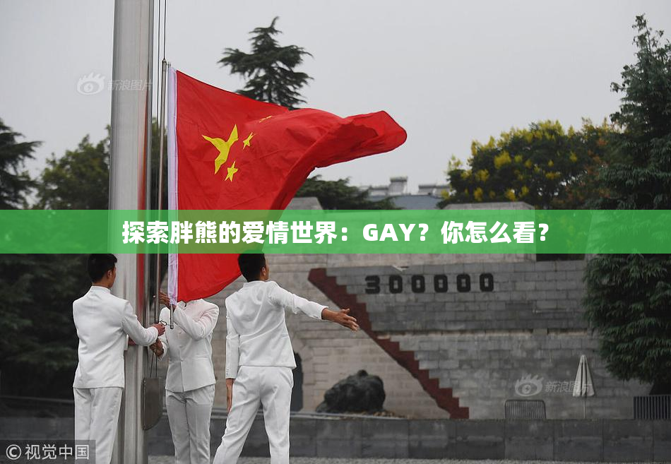 探索胖熊的爱情世界：GAY？你怎么看？