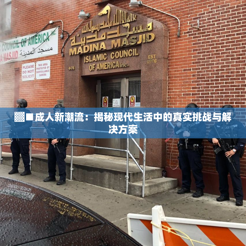 ▓■成人新潮流：揭秘现代生活中的真实挑战与解决方案