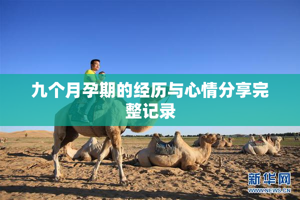 九个月孕期的经历与心情分享完整记录