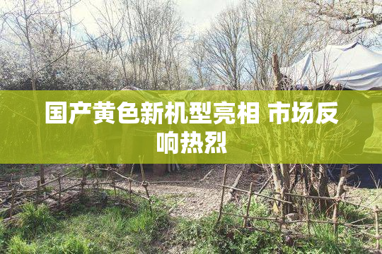 国产黄色新机型亮相 市场反响热烈