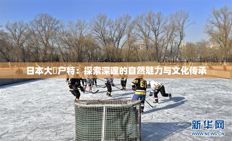 日本大隂户特：探索深邃的自然魅力与文化传承