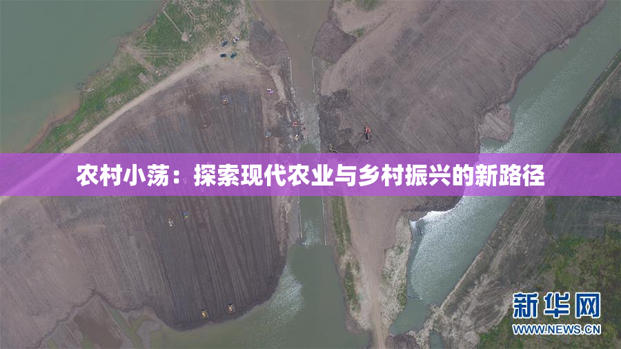 农村小荡：探索现代农业与乡村振兴的新路径