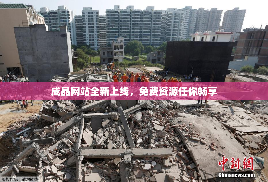 成品网站全新上线，免费资源任你畅享