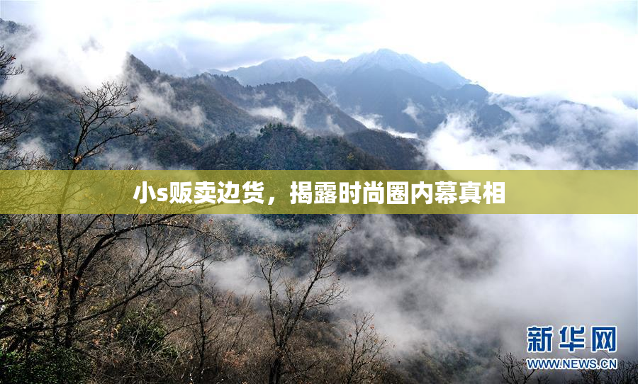 小s贩卖边货，揭露时尚圈内幕真相